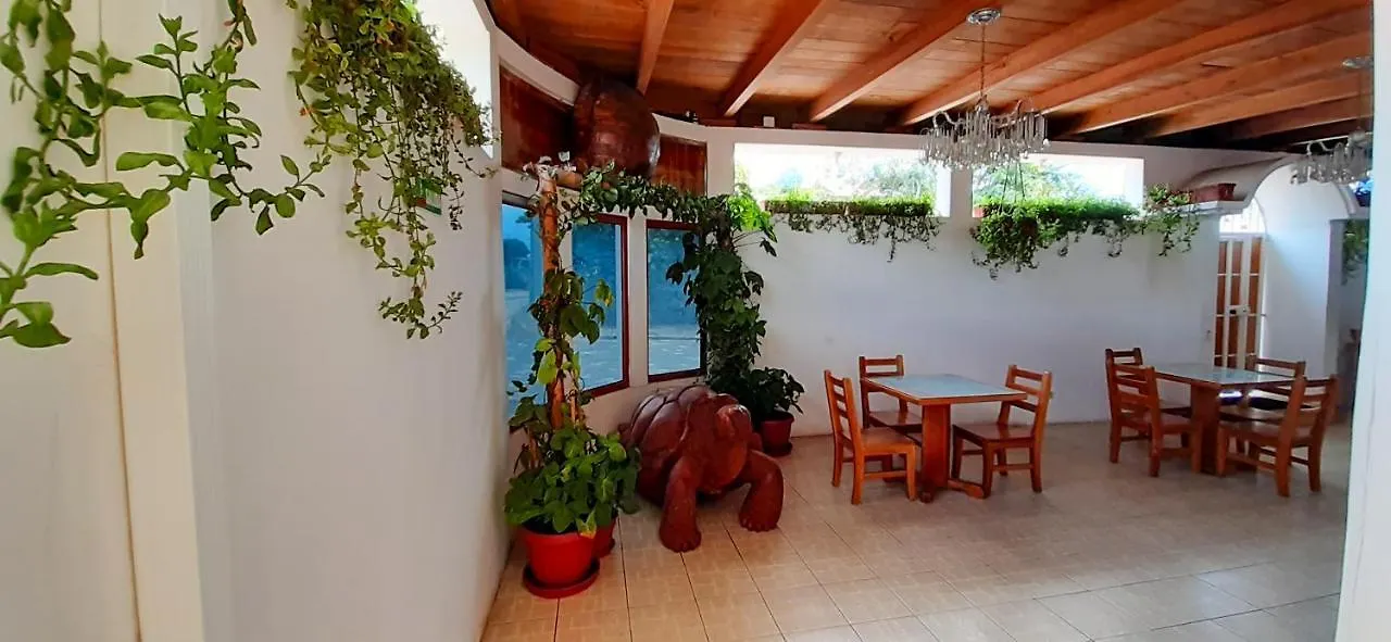 Hostal La Mirada Del Solitario George Puerto Ayora  Hostel Puerto Ayora (Galapagos Islands)