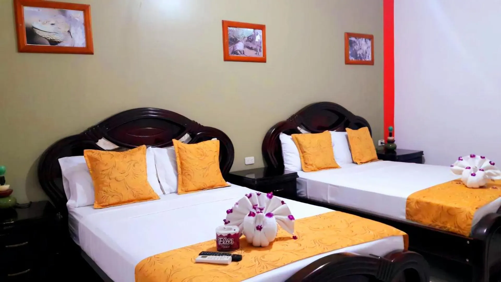 Hostel Hostal La Mirada Del Solitario George Puerto Ayora  Ekvádor