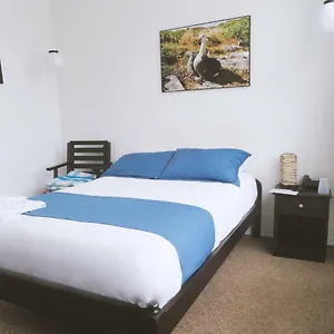https://bird-garden-guest-house.hotelsquito.com